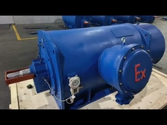 Η σειρά YJVFT ανθεκτικός σε εκρήξεις, ενσωματωμένη μηχανή 800KW IP55