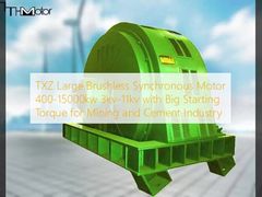 TXZ Μεγάλος Ασύγχρονος Κινητήρας Brushless 400-15000kw 3kv-11kv με Μεγάλη Ροπή Εκκίνησης για τη Βιομηχανία Εξόρυξης και Τσιμέντου