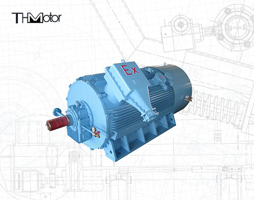 3600 rpm IE2 πυρίμαχος ηλεκτρικός κινητήρας με αντλία 3 φάσεων με προστασία από έκρηξη