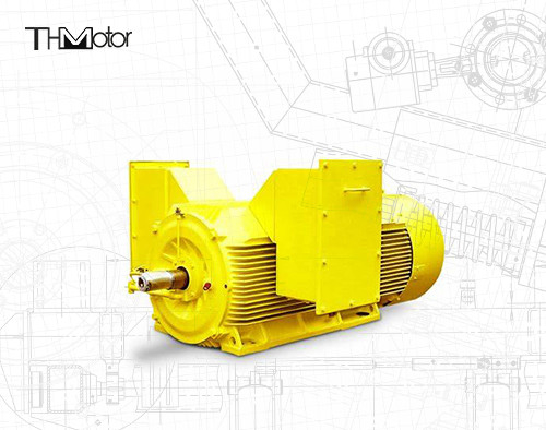 20P 3 πυρίμαχος ηλεκτρικός κινητήρας 5600KW κλουβιών σκιούρων φάσης