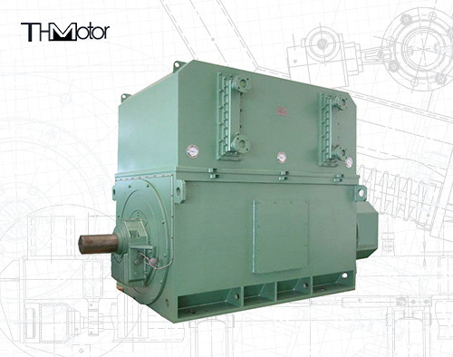 Βιομηχανικοί κινητήρες υψηλής τάσης 6000v-11000v 2 πόλοι για βέλτιστες επιδόσεις