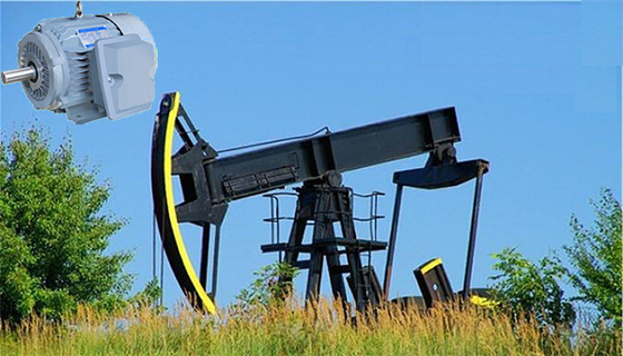 NEMA ασφαλίστρου υψηλή μηχανή επαγωγής ολίσθησης ροπής υψηλή IP55 για την αντλία πετρελαιοπηγών